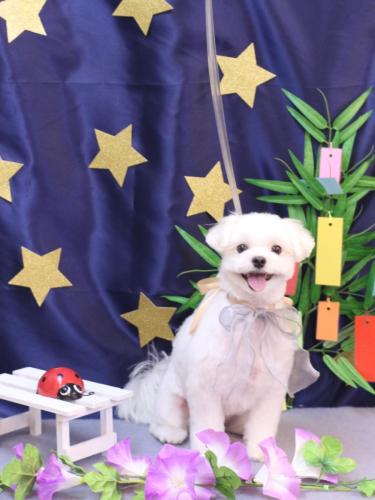 20230715まるちゃん